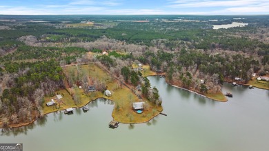 SUNSETS AND VIEWS FOR DAYS! This stunning fee simple lake home - photo 17