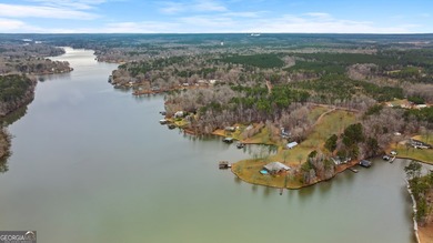 SUNSETS AND VIEWS FOR DAYS! This stunning fee simple lake home - photo 18