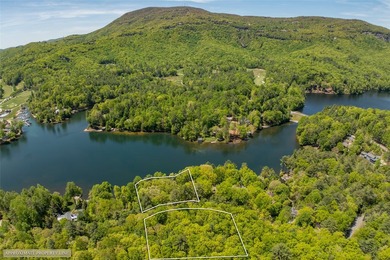 This exceptional Lake Toxaway property offers a rare opportunity - photo 18