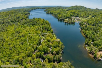 This exceptional Lake Toxaway property offers a rare opportunity - photo 20
