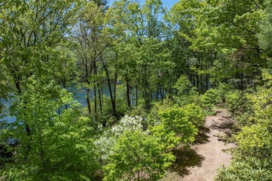 This exceptional Lake Toxaway property offers a rare opportunity - photo 23