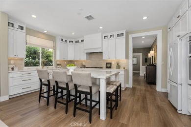 Welcome to 28 Corte Pinturas- A Fully Remodeled Retreat in The - photo 2