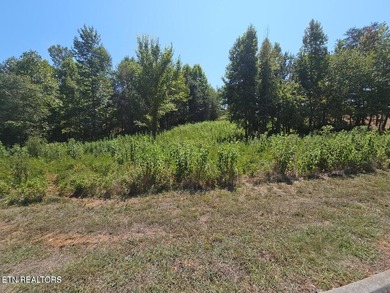 64 Acres>> very easy build lot>>> AND a transferrable lease of - photo 2