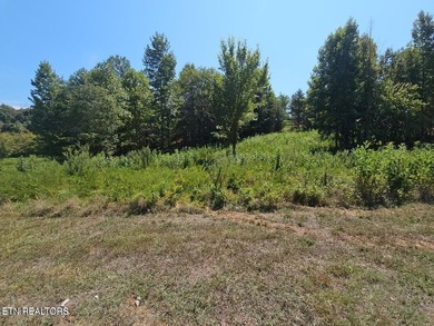 64 Acres>> very easy build lot>>> AND a transferrable lease of - photo 3