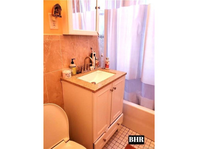 SHEEPSHAD BAY/ MARINE PARK Large 1 bedroom, 1 bath on top floor - photo 9