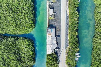 Once-in-a-Lifetime Opportunity: Own the Iconic Alabama Jacks in - photo 11