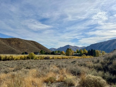 (private lake, pond, creek) Lot For Sale in Blaine County Idaho