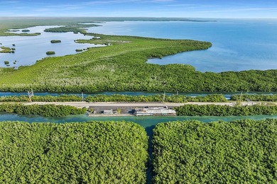 Once-in-a-Lifetime Opportunity: Own the Iconic Alabama Jacks in - photo 12