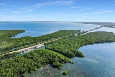 Once-in-a-Lifetime Opportunity: Own the Iconic Alabama Jacks in - photo 14