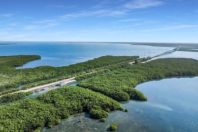Once-in-a-Lifetime Opportunity: Own the Iconic Alabama Jacks in - photo 15