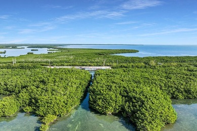 Once-in-a-Lifetime Opportunity: Own the Iconic Alabama Jacks in - photo 16