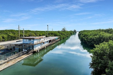 Once-in-a-Lifetime Opportunity: Own the Iconic Alabama Jacks in - photo 20