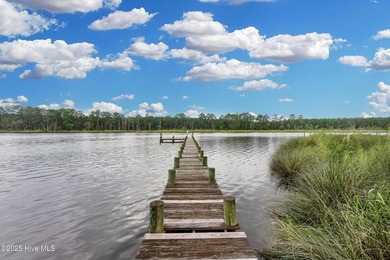 Waterfront homesite with extensive dock frontage in the gated - photo 21