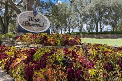 RARE OPPORTUNITY to own a premier estate homesite in the - photo 25