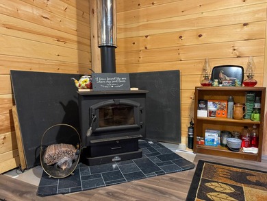 Looking for off-grid property in Maine with privacy, natural - photo 7