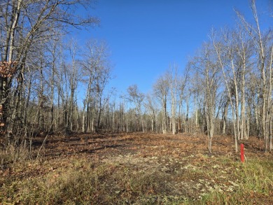 Lake Lot For Sale in Johannesburg, Michigan