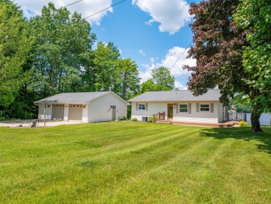 Lake Home For Sale in Cadillac, Michigan