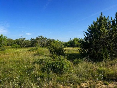 Lake O.H. Ivie Lot For Sale in Paint Rock Texas