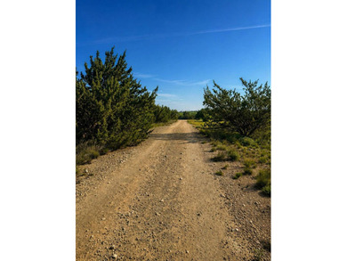 Lake Ivie Opportunity 1.20 Acre Lot in Concho Ranch Est - photo 3