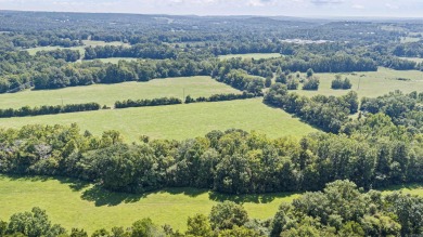 Lake Acreage For Sale in Clarksville, Arkansas