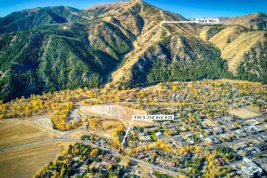 (private lake, pond, creek) Condo For Sale in Ketchum Idaho