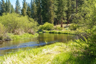 Once in a lifetime opportunity to own a riverfront paradise - photo 13
