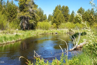 Once in a lifetime opportunity to own a riverfront paradise - photo 14