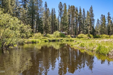 Once in a lifetime opportunity to own a riverfront paradise - photo 17