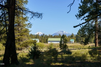 Once in a lifetime opportunity to own a riverfront paradise - photo 19