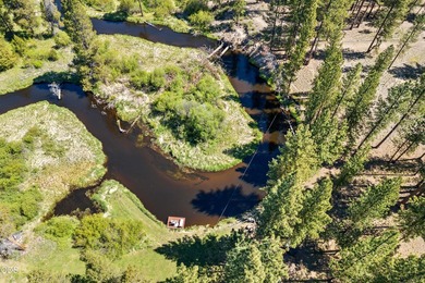 Once in a lifetime opportunity to own a riverfront paradise - photo 20