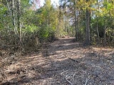 I. C. Lake Commercial For Sale in Mccomb Mississippi