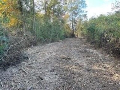 Looking for a great commercial opportunity in McComb, MS with - photo 3