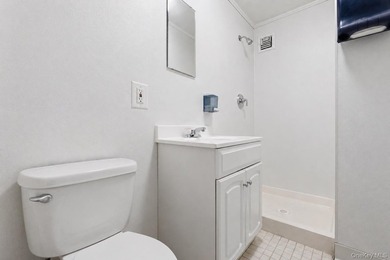 MAJOR PRICE IMPROVEMENT! Welcome to a unique mixed-use - photo 25