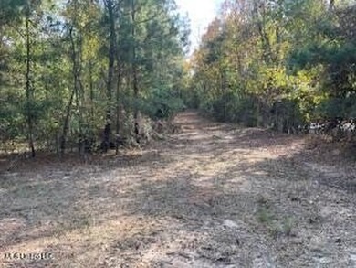 Looking for a great commercial opportunity in McComb, MS with - photo 6