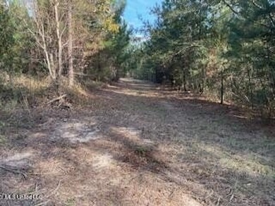 Looking for a great commercial opportunity in McComb, MS with - photo 7