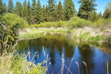 Once in a lifetime opportunity to own a riverfront paradise - photo 30