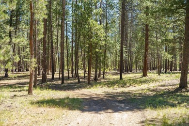 Once in a lifetime opportunity to own a riverfront paradise - photo 32