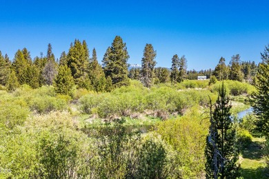 Once in a lifetime opportunity to own a riverfront paradise - photo 36