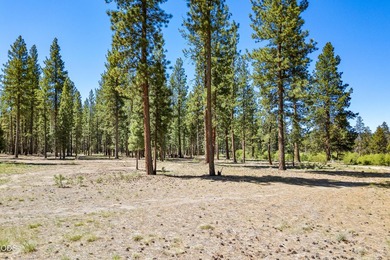 Once in a lifetime opportunity to own a riverfront paradise - photo 38