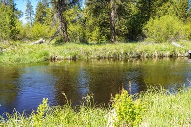 Once in a lifetime opportunity to own a riverfront paradise - photo 40