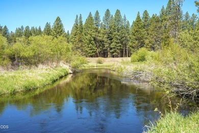 Once in a lifetime opportunity to own a riverfront paradise - photo 41