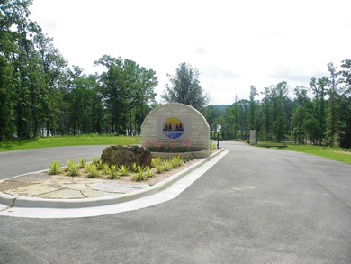 Big Rock Lake Acreage For Sale in Hallsville Texas