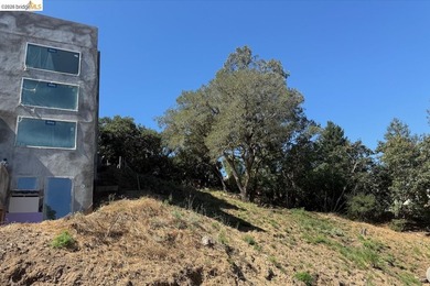 Discover the exceptional potential of 0 Sheridan Road, located - photo 5