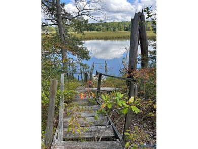 Lake Acreage For Sale in Essex, Virginia