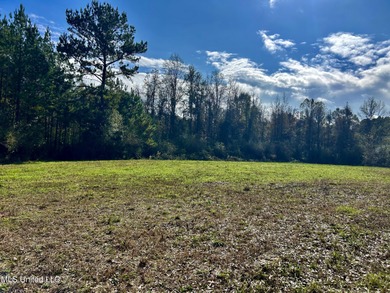 Bogue Chitto River  - Lincoln County Acreage For Sale in Brookhaven Mississippi
