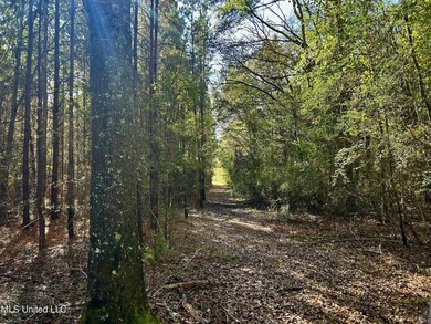 Discover 39.7+- surveyed acres in Brookhaven, Mississippi - photo 2
