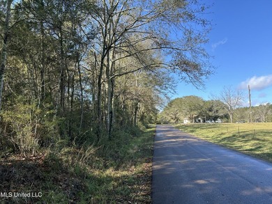 Discover 39.7+- surveyed acres in Brookhaven, Mississippi - photo 4