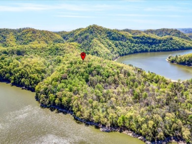 2.99 Acre Dockable Cherokee Lakefront Lot in Gated Community - photo 14