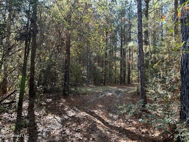 Discover 39.7+- surveyed acres in Brookhaven, Mississippi - photo 6