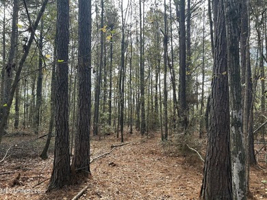 Discover 39.7+- surveyed acres in Brookhaven, Mississippi - photo 7